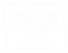 Hands%20w%20box_white_edited.png